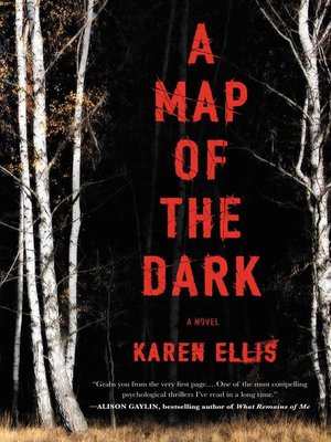 cover image of A Map of the Dark